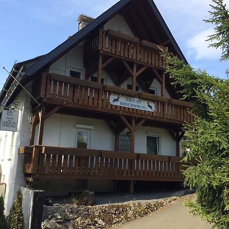 Pension Haus Am Hirschsprung Willingen  Extérieur photo