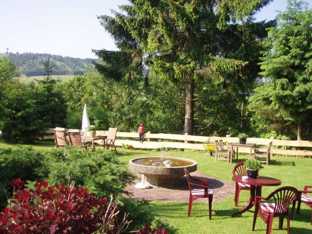 Pension Haus Am Hirschsprung Willingen  Extérieur photo