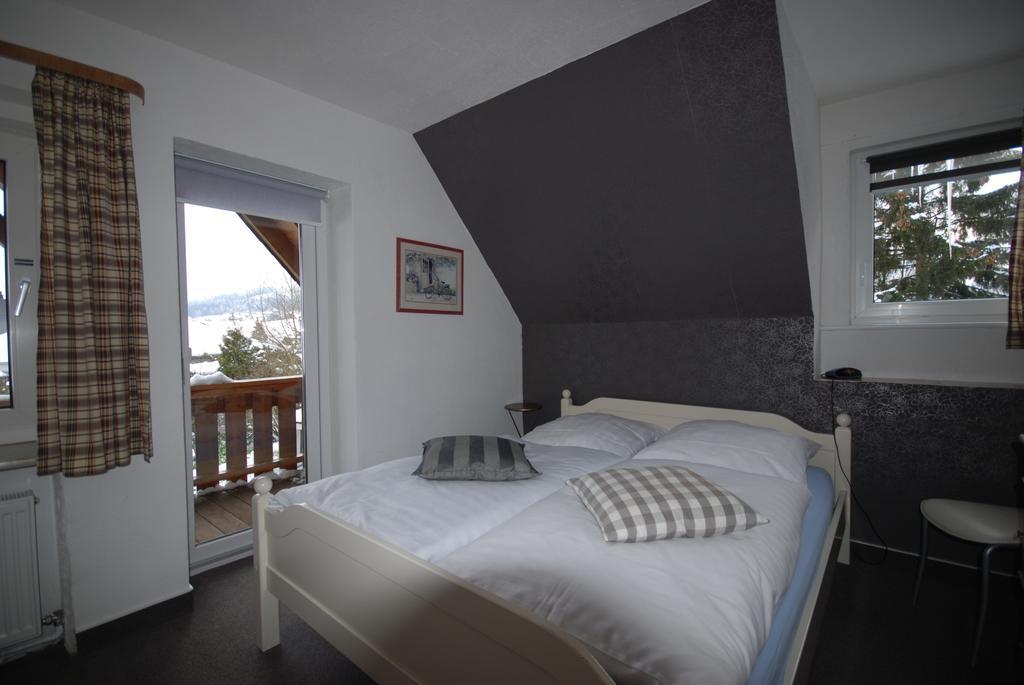 Pension Haus Am Hirschsprung Willingen  Extérieur photo