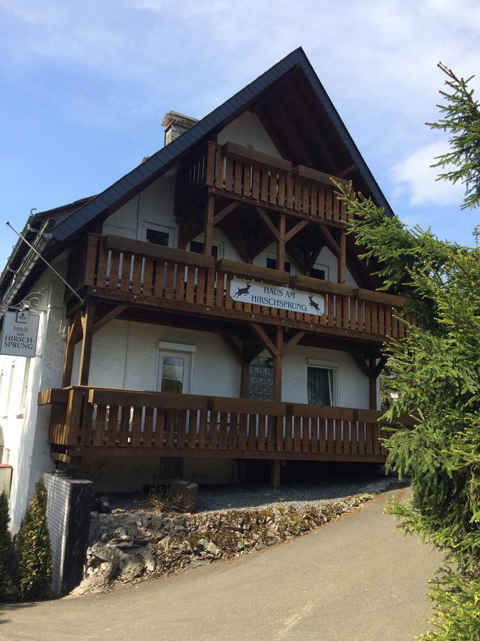 Pension Haus Am Hirschsprung Willingen  Extérieur photo